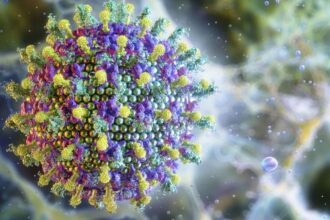 ministerio-da-saude-diz-que-virus-nipah-nao-ameaca-o-brasil