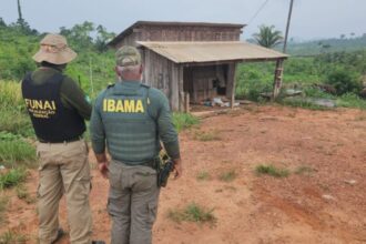 pf-prende-suspeito-de-matar-colaborador-do-ibama-na-ti-apyterewa