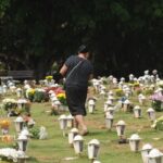 caes-e-gatos-podem-ser-sepultados-em-jazigos-familiares-em-sao-paulo