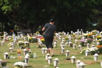 caes-e-gatos-podem-ser-sepultados-em-jazigos-familiares-em-sao-paulo