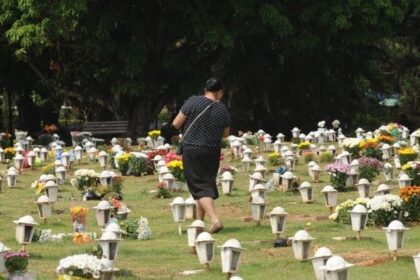 caes-e-gatos-podem-ser-sepultados-em-jazigos-familiares-em-sao-paulo