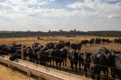 atividade-economica-brasileira-cresce-2,5%-em-2025