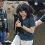 senado-aprova-politica-de-protecao-a-animais-resgatados-em-desastres