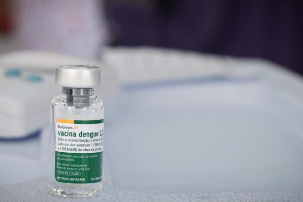 vacina-brasileira-contra-a-dengue-mantem-eficacia-por-ate-5-anos