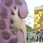 dia-mundial-do-rim:-doencas-renais-sao-silenciosas-e-exigem-atencao