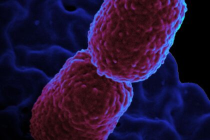 hospital-em-campinas-restringe-atendimento-para-conter-superbacteria