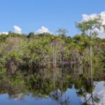 governo-levantou-r$-179-bi-desde-2023-para-transicao-ecologica