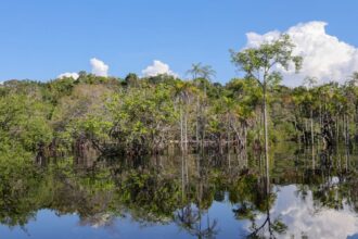governo-levantou-r$-179-bi-desde-2023-para-transicao-ecologica
