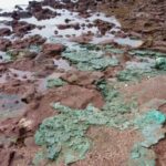 rochas-de-plastico-chegam-a-ninhos-de-tartarugas-em-ilha-brasileira