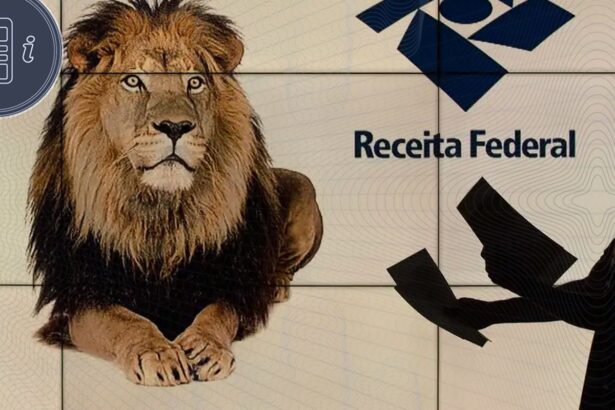 receita-divulga-datas-de-restituicao-de-ir;-1o-lote-sai-em-29-de-maio