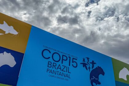 cupula-de-lideres-orienta-debates-para-cop15-em-campo-grande