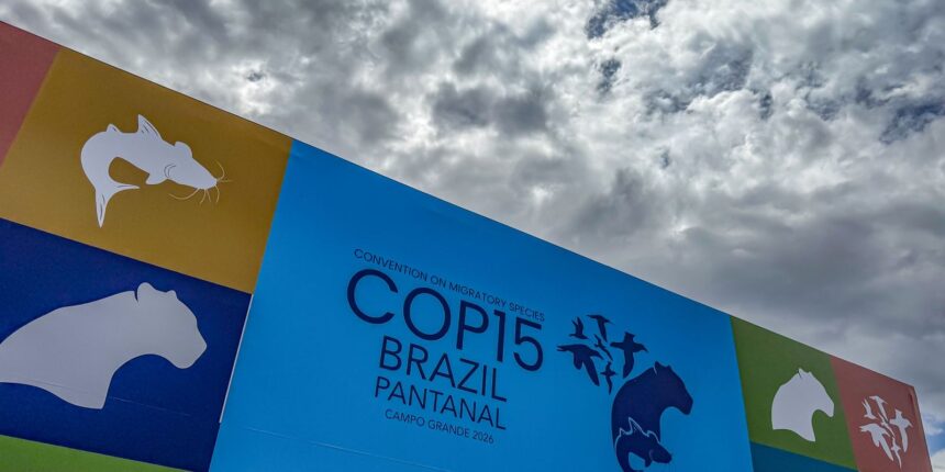 cupula-de-lideres-orienta-debates-para-cop15-em-campo-grande