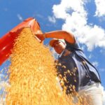 atividade-economica-brasileira-cresce-0,6%-em-fevereiro