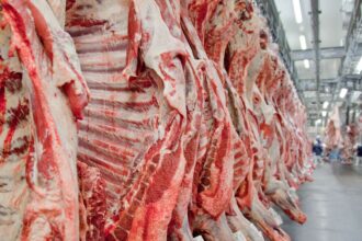 governo-promete-reverter-veto-da-ue-a-carnes-e-animais-brasileiros