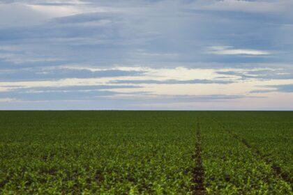 fazenda-estuda-fundo-garantidor-para-dividas-rurais