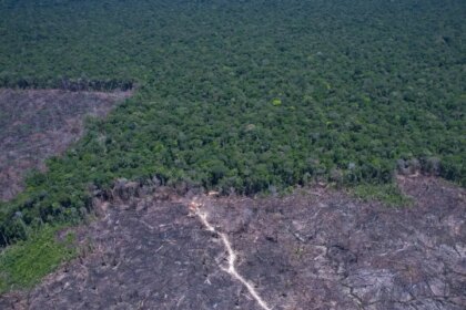 paises-discutem-solucao-para-combustivel-fossil-e-desmatamento-ilegal