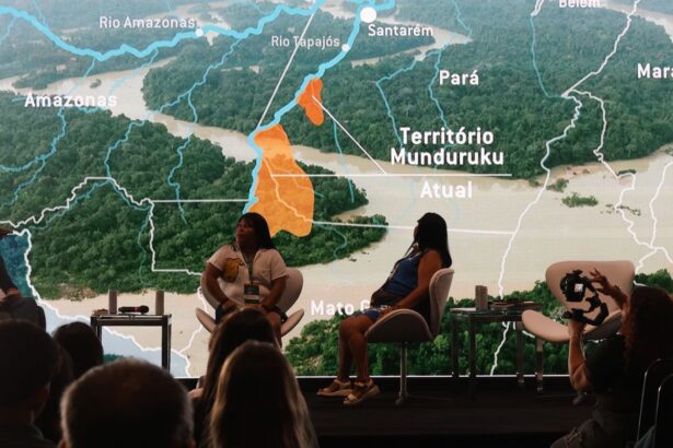 contaminacao-por-mercurio-coloca-gestantes-e-bebes-munduruku-em-risco