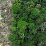 crise-climatica-e-o-pior-desafio-da-historia-humana,-diz-cientista