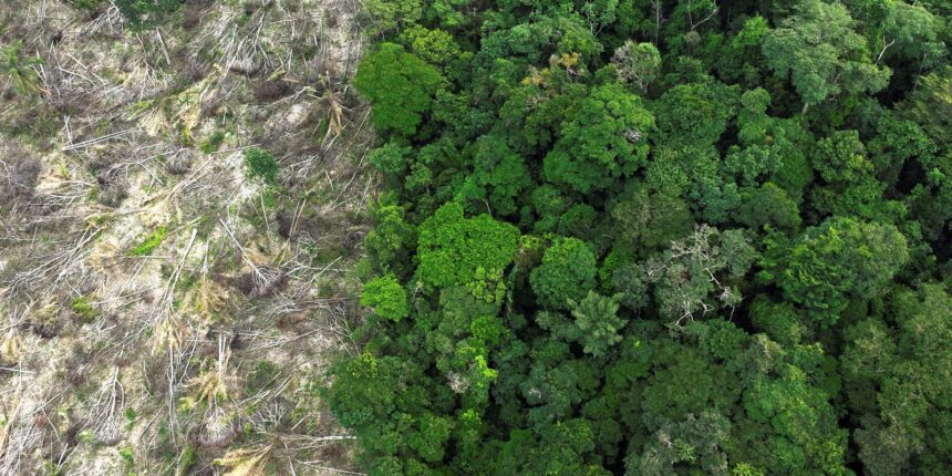 crise-climatica-e-o-pior-desafio-da-historia-humana,-diz-cientista