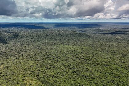 adversaria-em-campo,-noruega-e-parceira-de-acoes-ambientais-do-brasil