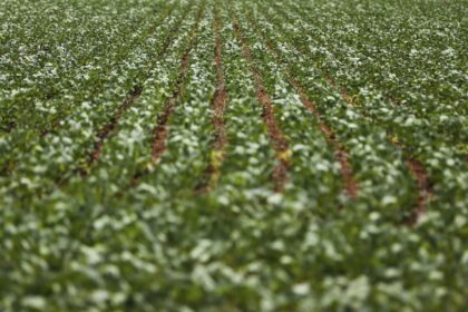 entenda-impasse-entre-bancada-do-agro-e-governo-sobre-dividas-rurais